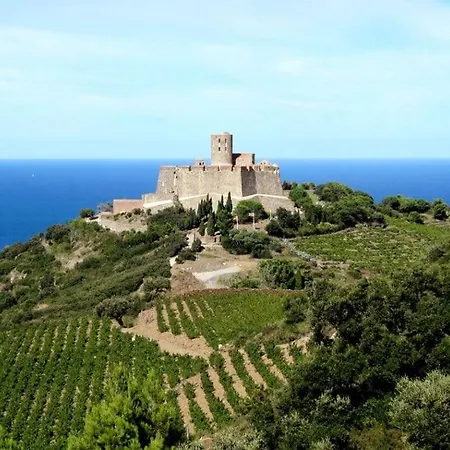 Apartment Beau T2 Alizee - Wifi - Vue - Parking -jardin Collioure