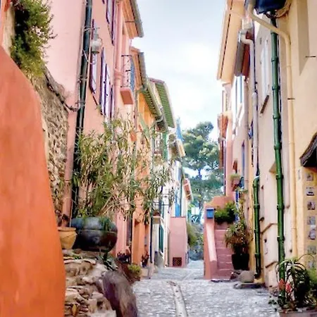 Beau T2 Alizee - Wifi - Vue - Parking -jardin * Collioure